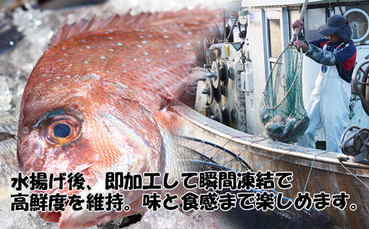 玄界灘産 海鮮漬け丼の素6人前（70g×6P）【真鯛・甲いか 各3人前】★1人前ずつ個包装[G0167]