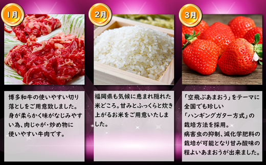 【3回届く！コースB】福岡名物定期便（和牛・お米・あまおう）★福岡の人気商品を短期集中で3回お届け！[G7038]