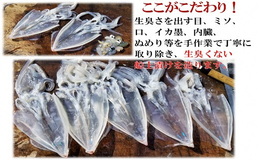 「ヤリイカの船上漬け」8パックセット★福岡玄界灘★新栄丸[G4022]