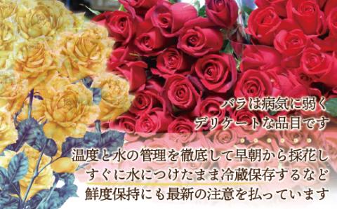 大切な人へのギフト、贈り物に！バラの花束ミックス15本[F2282]
