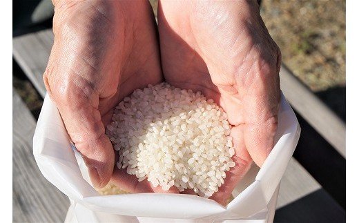 【令和7年産】モッチモチのお米！ミルキークイーン2kg×2袋　計4kg★あんずの里[G4125a]