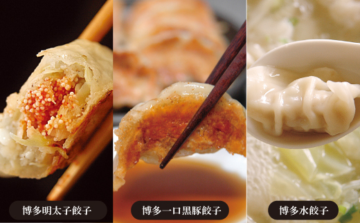 山八餃子博多セット（博多明太子餃子・博多一口黒豚餃子・博多水餃子）[F4385]
