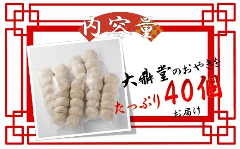 大鼎堂のおやき2種セット（豚にら・豚玉ねぎ）10個×2袋×2種　計40個[F4514]