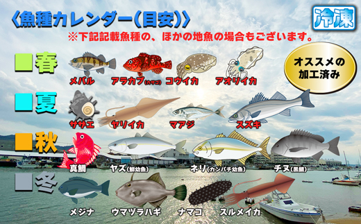 【年6回奇数月】お魚よかろうもん！玄界灘・福津の地魚お楽しみ定期便【冷凍】【随時開始】[G7015]