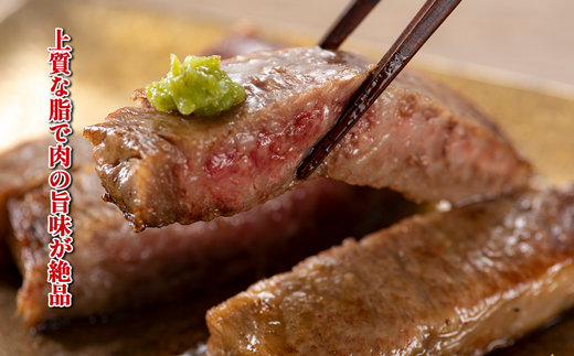 【お肉定期便】博多和牛サーロインステーキ3回定期便（500g×3回）計1.5kg[G0128T3]