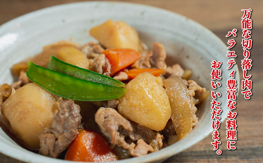 博多和牛切り落とし　500ｇ[G0129]