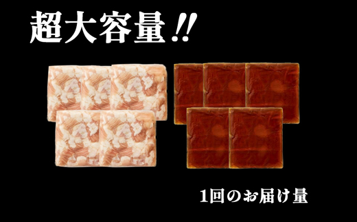 【鍋定期便】大容量！博多醤油もつ鍋10人前セット3回定期便（10人前×3回）[G0133T3]