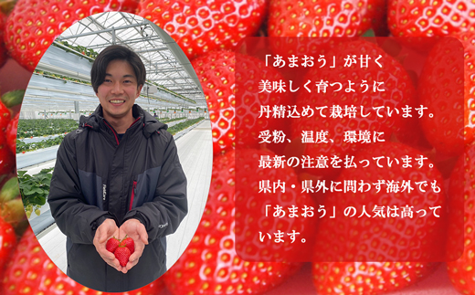 【2026年5月より順次発送】福津産『空飛ぶあまおう』約180g×6パック【スカイフローラファーム】[G0155]