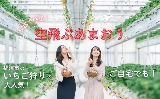 【2026年5月より順次発送】福津産『空飛ぶあまおう』約180g×6パック【スカイフローラファーム】[G0155]