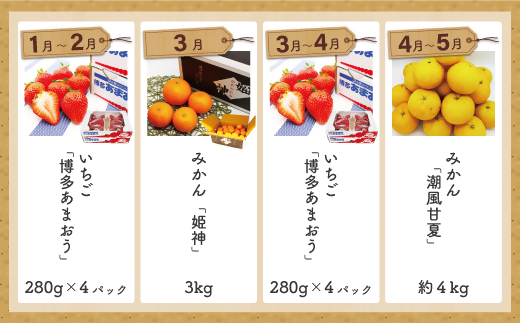福岡県旬のフルーツ定期便【年10回コース】【1～2月開始】[G5261]