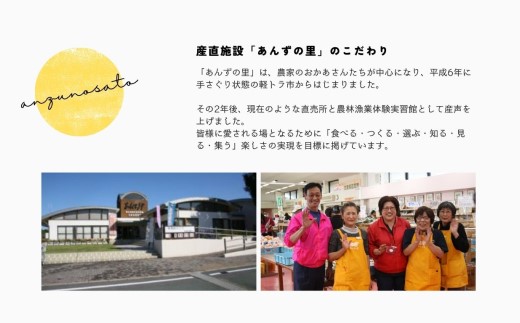 【年4回季節】旬のフルーツお楽しみ定期便★あんずの里【随時開始】[G7031a]