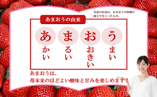 【3回届く！（2月～4月）】福津産『空飛ぶあまおう』約1,080g×3回定期便【スカイフローラファーム】[G7054]