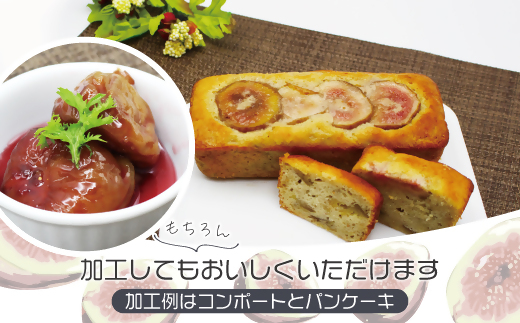 福岡県産いちじく「とよみつひめ」　冷凍パック500g（500g×1袋）[G2325]