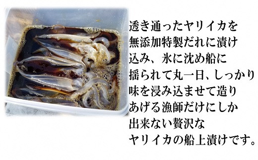 「ヤリイカの船上漬け」8パックセット★福岡玄界灘★新栄丸[G4022]