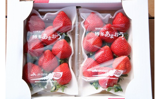 【2026年1月より順次発送】甘いイチゴの王様「あまおう」　約280g×2P　計560g★青谷ふぁーむ[F4274]