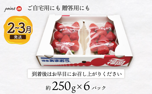 【2026年2月より順次発送】博多あまおう特別6パック　約1.5kg[G2245]