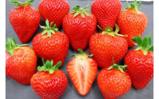 【2026年1月以降発送】博多あまおうEX　贈答化粧箱入2箱[G2250]