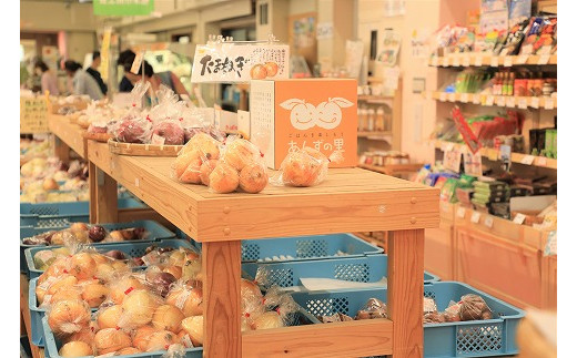 【3ヶ月定期便】穫れたて!冬野菜・果物定期便（1～3月）★あんずの里[G7005]