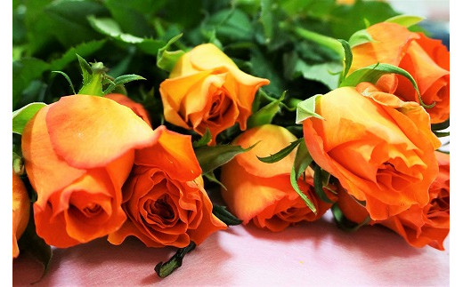 【年4回春夏秋冬】季節のお花バラエティセット定期便★あんずの里【随時開始】[G7009]