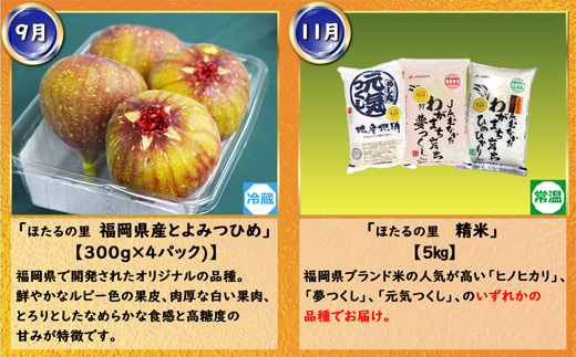 【6回届く！（奇数月）】福岡グルメ定期便★福岡の人気商品を奇数月に6回お届け！[G7035]