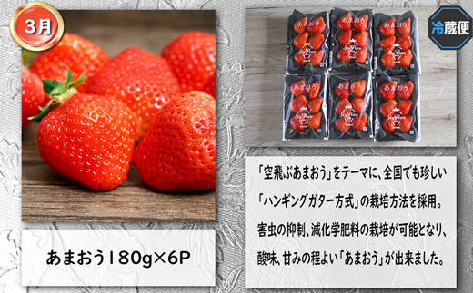 【4回届く！コースB】福岡ご当地定期便★福岡の人気商品を4回お届け！[G7049]