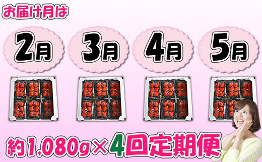 【4回届く！（2月～5月）】福津産『空飛ぶあまおう』約1,080g×4回定期便【スカイフローラファーム】[G7052]