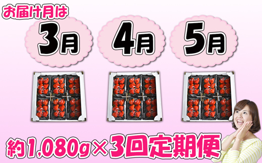 【3回届く！（3月～5月）】福津産『空飛ぶあまおう』約1,080g×3回定期便【スカイフローラファーム】[G7055]