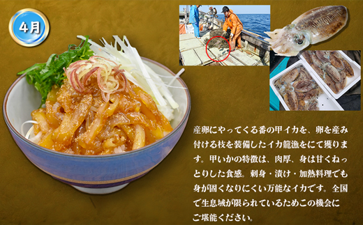 【3回届く！】漁港直送！玄界灘海の幸定期便★水揚げされたての高鮮度を活かした地魚刺身・漬けを3回お届け！[G7059]