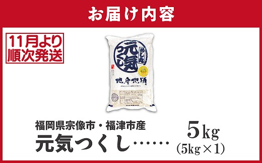 【令和7年産米】【2025年11月より順次発送】JAよりお届け！福岡県ブランド米「元気つくし」 5kg（5kg×1袋）[G2310b]