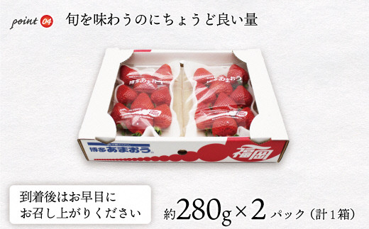 【2026年3月下旬より順次発送】博多あまおう2パック　約560g[G2211a]