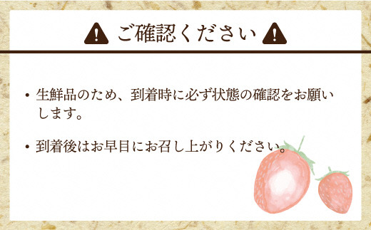 【2026年2月より順次発送】★大玉規格★博多あまおう2パック　約560g[G2224]