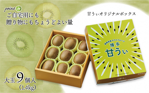 【2026年11～12月出荷】福岡県ブランドキウイフルーツ「博多甘うぃ」化粧箱大玉9玉約1.4kg[G2279]