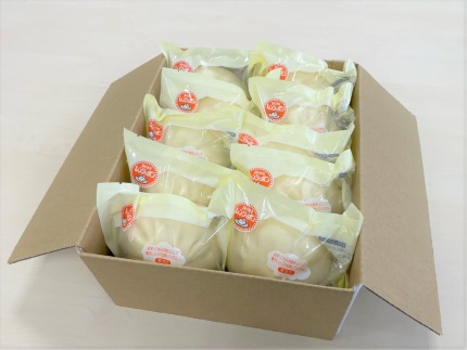 大鼎堂の大判肉まん10個セット（150g×10袋）[F4260]