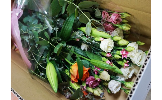 【年4回春夏秋冬】季節のお花バラエティセット定期便★あんずの里【随時開始】[G7009]