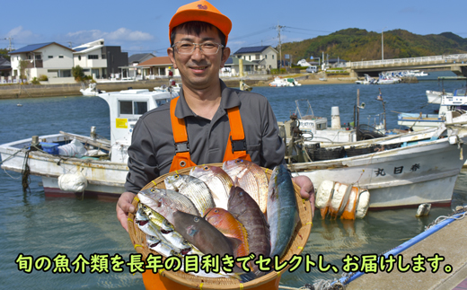 【年12回毎月】お魚よかろうもん！玄界灘・福津の地魚お楽しみ定期便【冷凍】【随時開始】[G7014]
