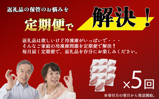【お肉定期便】【厳選希少部位】【A4～A5】大容量！博多和牛ミスジステーキ5回定期便（1kg×5回）計5kg[G0136T5]