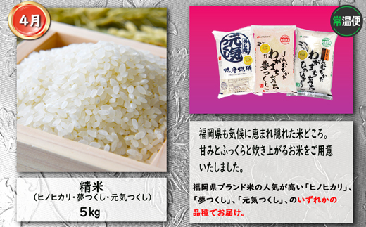 【4回届く！コースD】福岡ご当地定期便★福岡の人気商品を4回お届け！[G7051]