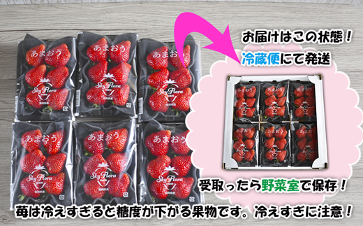 【4回届く！（2月～5月）】福津産『空飛ぶあまおう』約1,080g×4回定期便【スカイフローラファーム】[G7052]