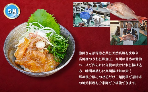 【3回届く！】漁港直送！玄界灘海の幸定期便★水揚げされたての高鮮度を活かした地魚刺身・漬けを3回お届け！[G7059]