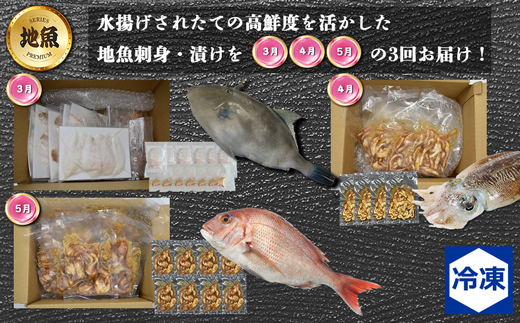 【3回届く！】漁港直送！玄界灘海の幸定期便★水揚げされたての高鮮度を活かした地魚刺身・漬けを3回お届け！[G7059]
