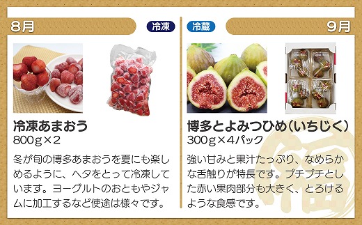 【年8回】福岡まんぞく定期便【2026年1月発送開始】[G5278]