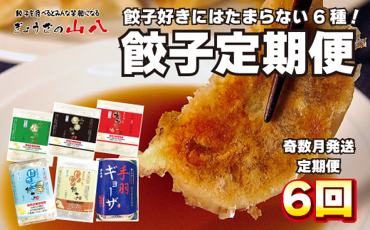 ぎょうざの山八★餃子定期便（年6回奇数月）【随時開始】[F7003]