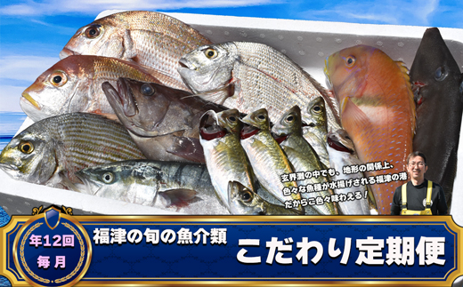 【年12回毎月】福津の旬の魚介類こだわり定期便【随時開始】[G7017]