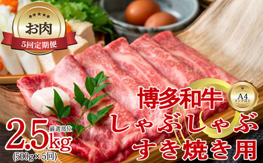 【お肉定期便】【厳選部位】【しゃぶしゃぶすき焼き用】博多和牛サーロイン5回定期便（500g×5回）計2.5kg[G0100T5]