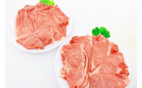 【A5ランク】博多和牛特選2点盛り（リブロース、もも）[F2078]