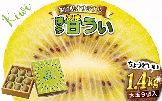 【2026年11～12月出荷】福岡県ブランドキウイフルーツ「博多甘うぃ」化粧箱大玉9玉約1.4kg[G2279]