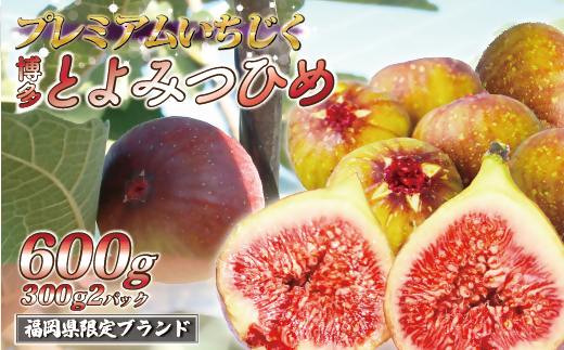 【2026年8月より順次発送】福岡県産とよみつひめ　約300g×2パック[G2298]