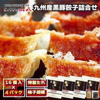 これぞ餃子!!　九州産黒豚餃子詰合せ　(福津の極み認定商品)＆自家製柚子胡椒[F3211]