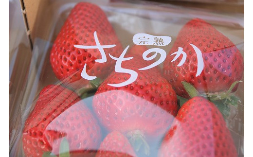 【2026年1月発送開始】「さちのか」いちご300g×4P計1,200g★あんずの里[G4127]