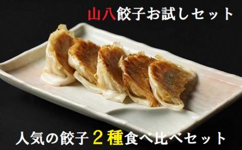 山八餃子お試しセット★人気の餃子2種食べ比べセット（山八餃子・黒豚餃子）【特製たれ付】計32個[F4429]
